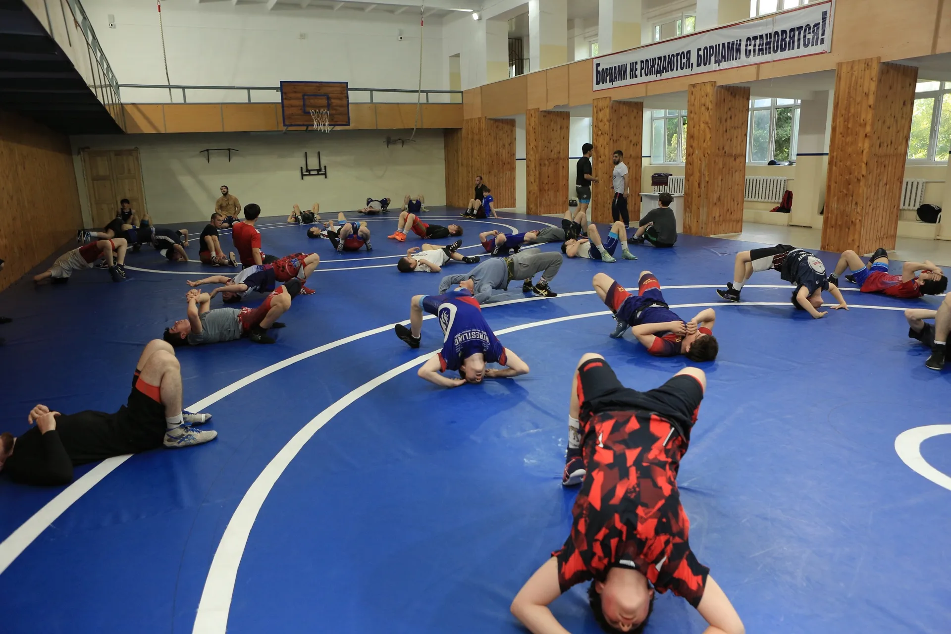 Wrestling gym in Dagestan, banner 'Wrestlers are made, not born', wrestlers warming up